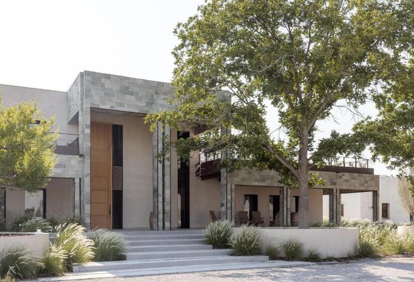 جناح رئاسى, Tierra Maria