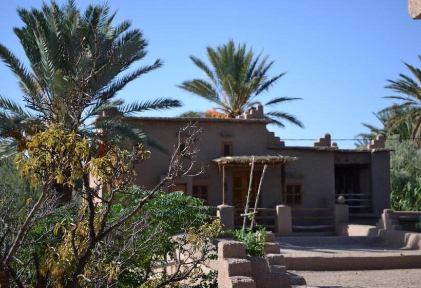 سوییت خانوادگی, Dar Lorkam