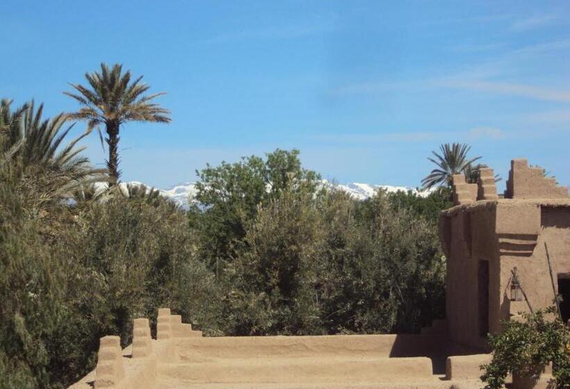 سوییت خانوادگی, Dar Lorkam