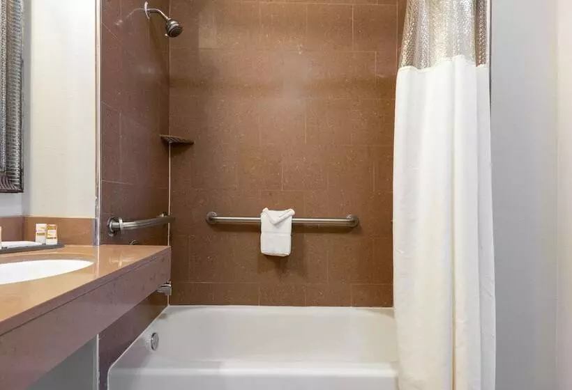 デラックスルーム, La Quinta By Wyndham Alvin