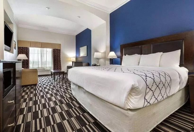デラックスルーム, La Quinta By Wyndham Alvin