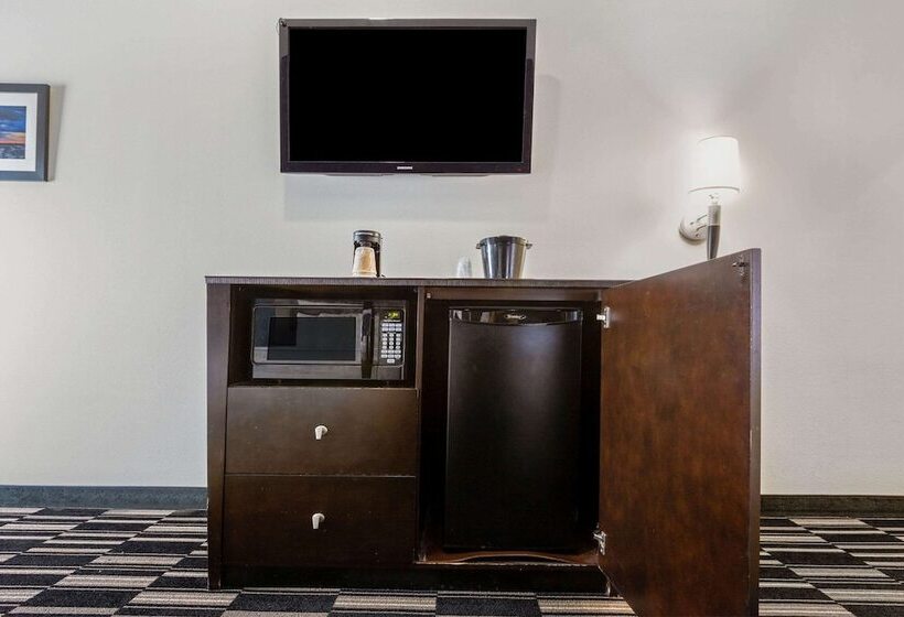 豪华房间, La Quinta By Wyndham Alvin