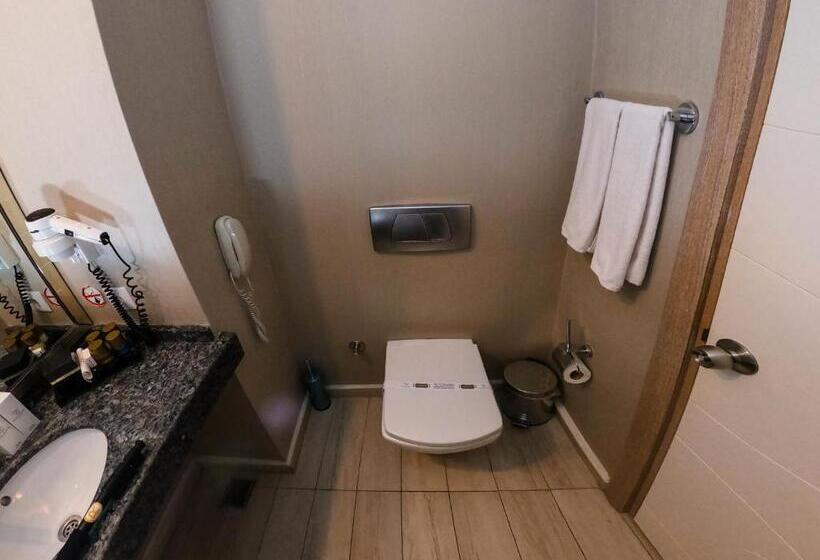 オーシャンビュースタンダードルーム, Raymar Resort & Aqua