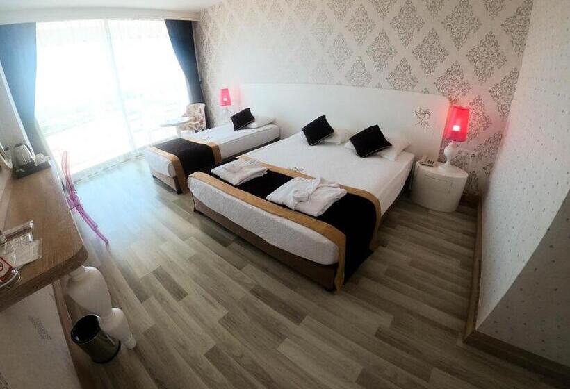 オーシャンビュースタンダードルーム, Raymar Resort & Aqua