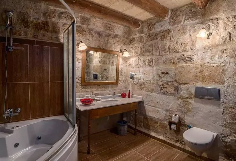 スタンダードルーム, Temenni Evi