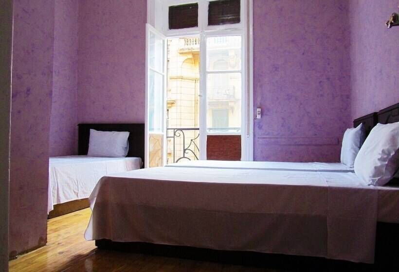 اتاق استاندارد چهار تخته, Travelers House