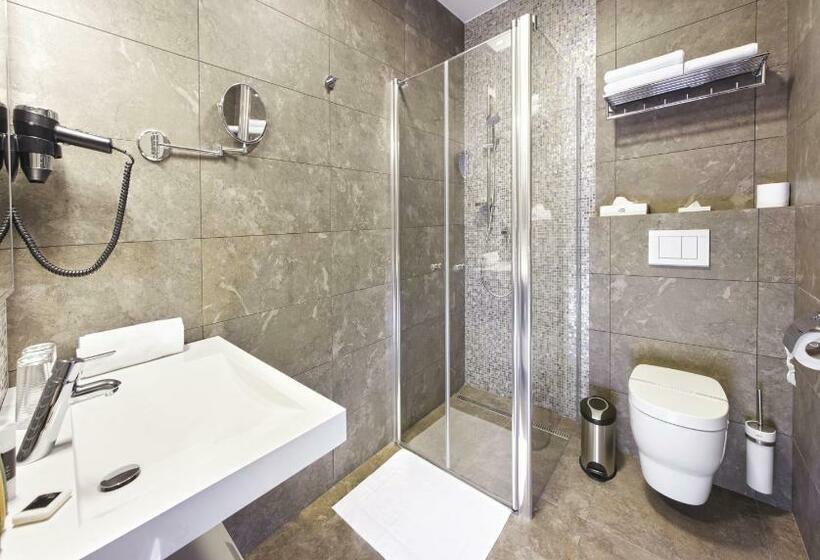 标准单人间, Wellness Hotel Abácie