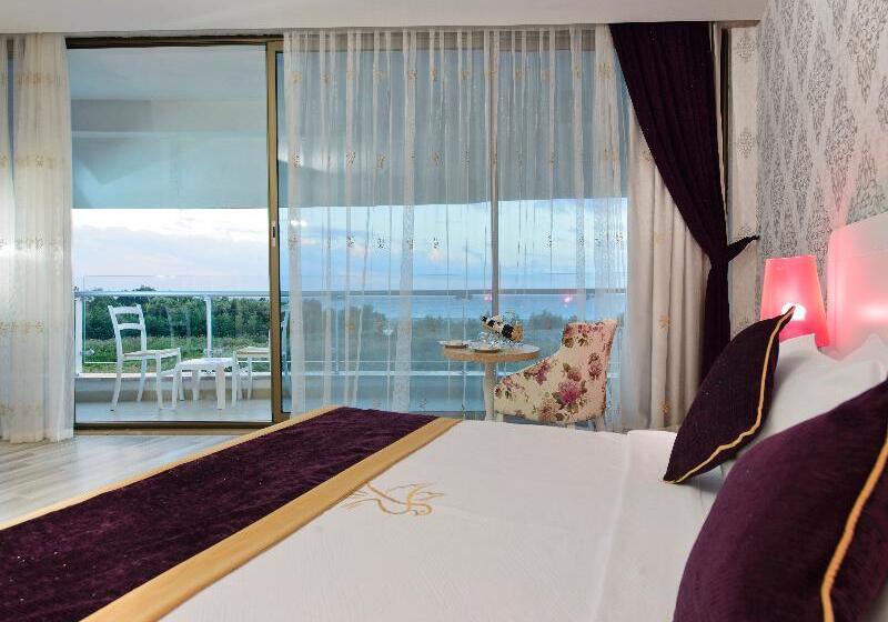 オーシャンビュースタンダードルーム, Raymar Resort & Aqua