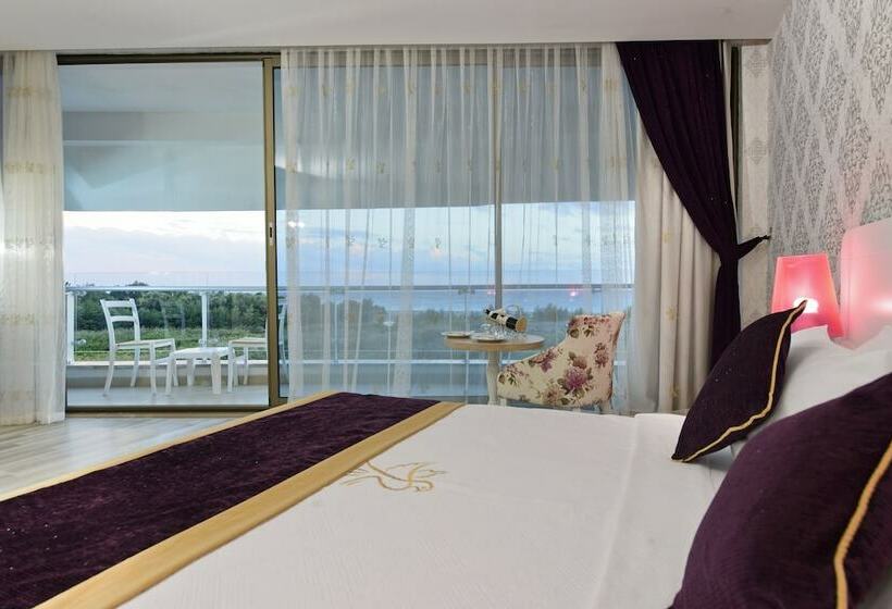 オーシャンビュースタンダードルーム, Raymar Resort & Aqua