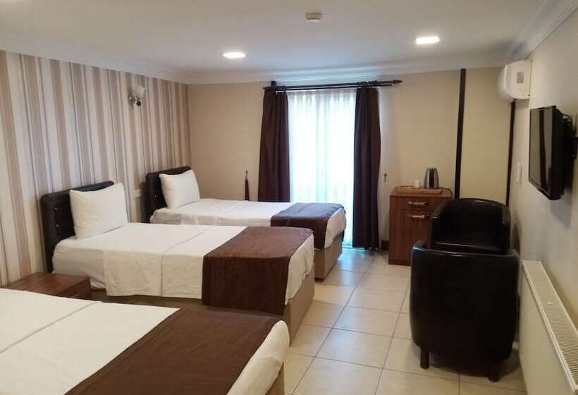 スタンダードトリプルルーム, Selisotel