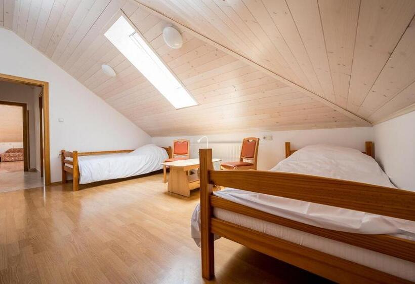 اتاق استاندارد چهار تخته, Hostel Kronotop In Triglav National Park