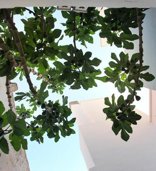 家庭间, Vecchia Cantina Le Camere