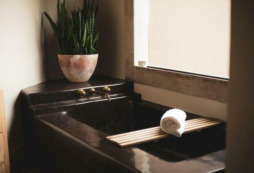 스위트 도시 전망, Grand María