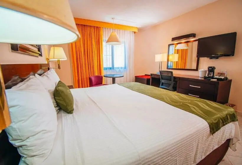 キングサイズベッドのスタンダードルーム, Eco City Hoteles