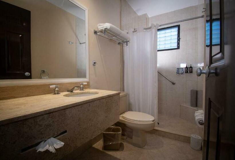 اتاق استاندارد با تخت بزرگ, Eco City Hoteles