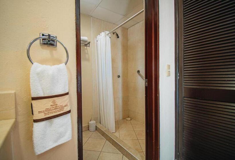 اتاق استاندارد با تخت بزرگ, Eco City Hoteles