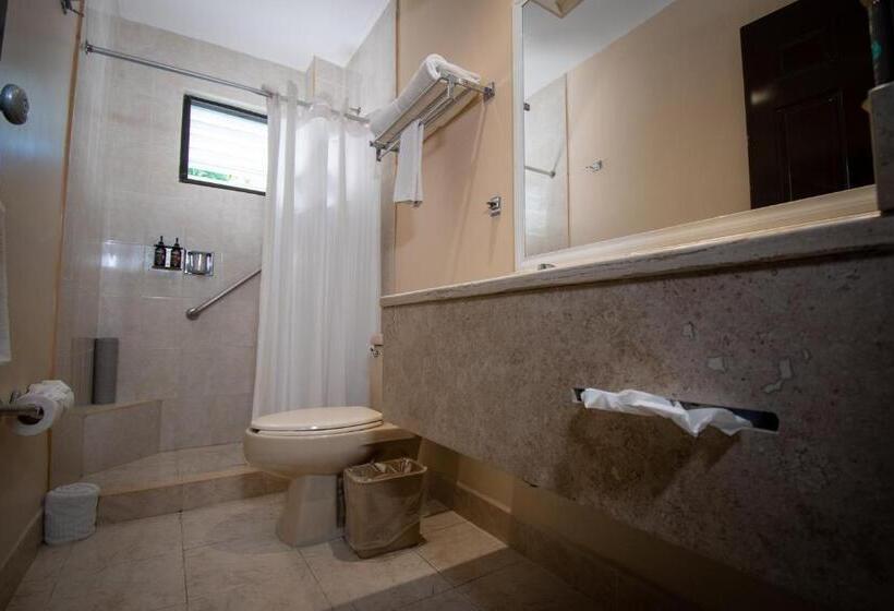 اتاق استاندارد, Eco City Hoteles