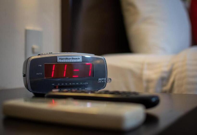 اتاق استاندارد, Eco City Hoteles