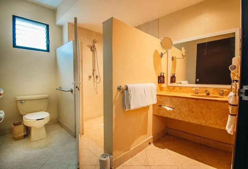 身障者適用スタンダードルーム, Eco City Hoteles