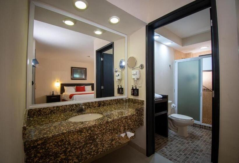 اتاق سوپریور با تخت بزرگ, Eco City Hoteles