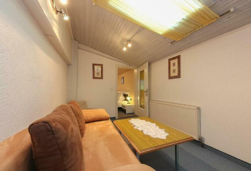 Номер Стандарт, Pension Hauser