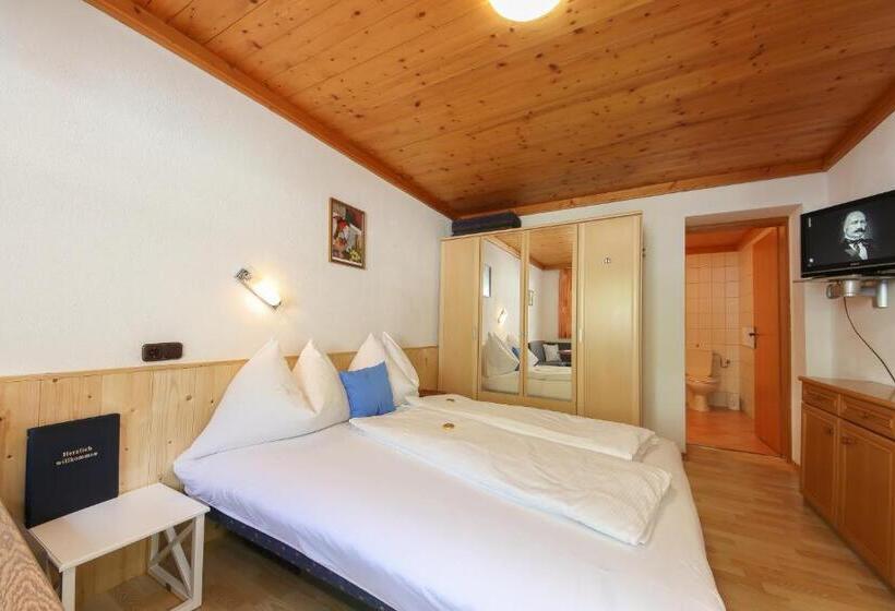 Студия Стандарт, Pension Hauser