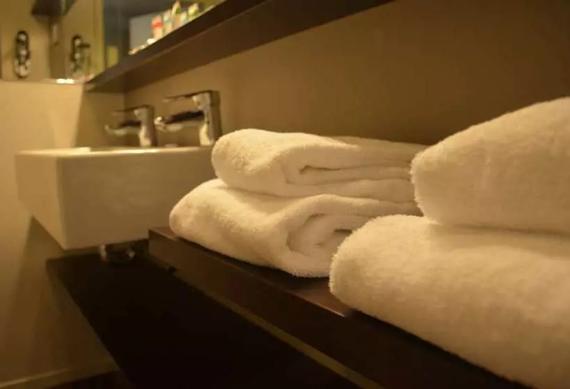 身障者適用スタンダードルーム, Boetiek Hotel Plein Vijf