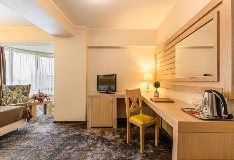 اتاق کلاس بیزنس, Faleza Hotel By Vega