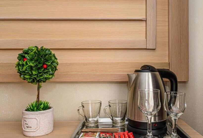 ビジネスルーム, Faleza Hotel By Vega