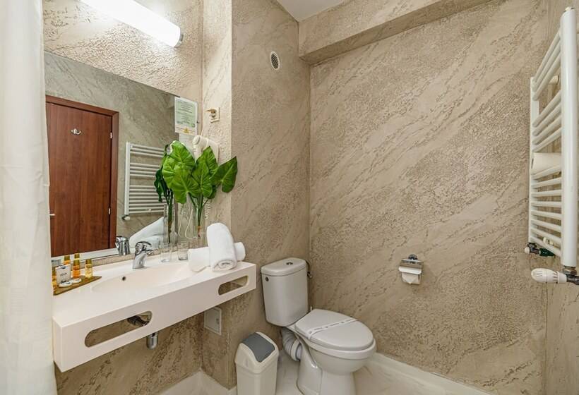 シングルデラックスルーム, Faleza Hotel By Vega