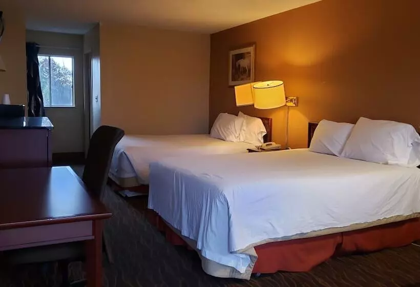 ２ダブルベッドのスタンダードルーム, Best Value Inn & Suites Parry Sound