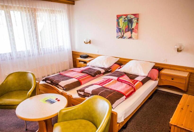 חדר סופריור עם מרפסת, Derby