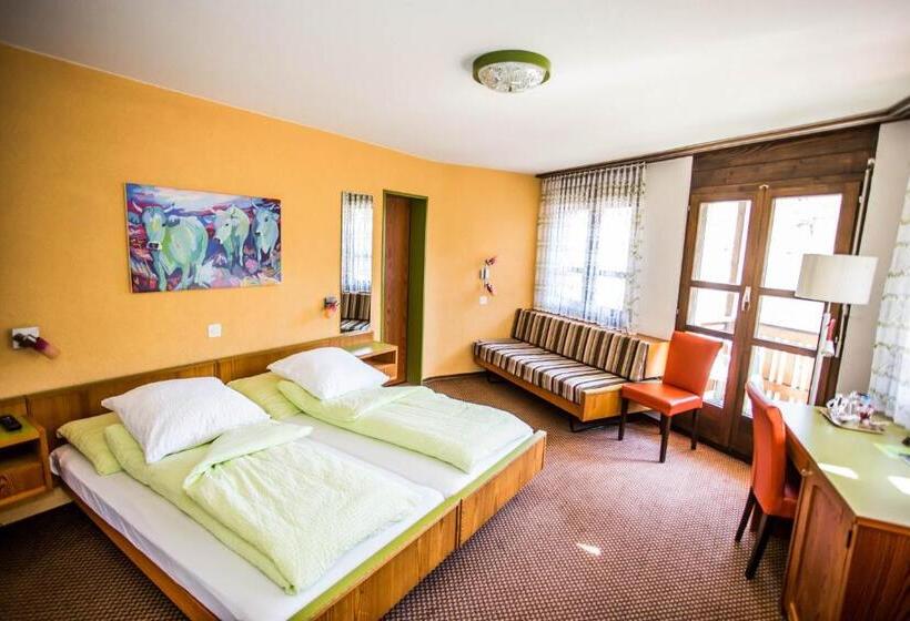 חדר סופריור עם מרפסת, Derby