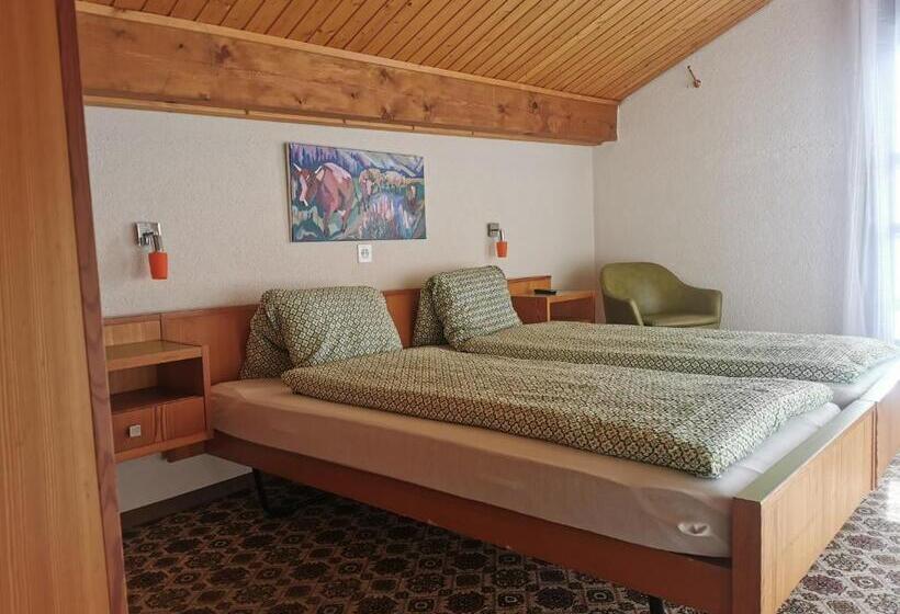 חדר אקונומי, Derby