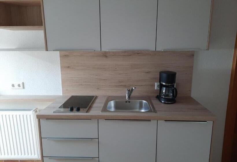 バルコニー付き1ベッドルームアパートメント, Gapphof