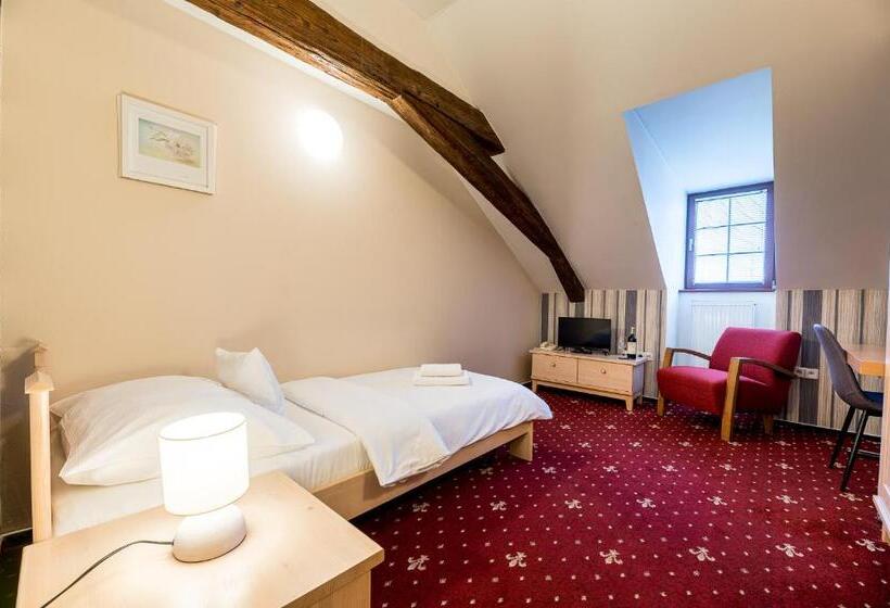 标准单人间, Nové Adalbertinum