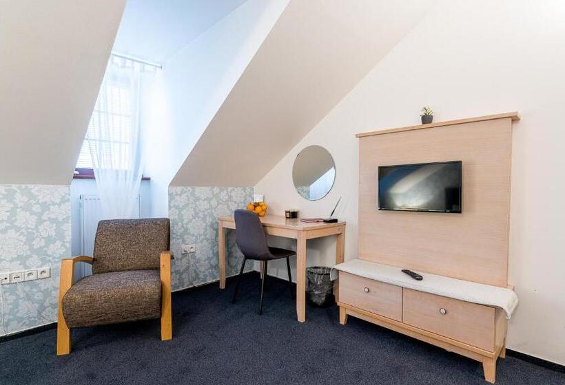 标准间, Nové Adalbertinum