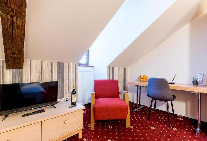 标准间, Nové Adalbertinum