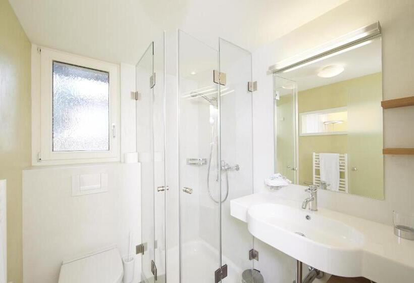 غرفة قياسية فردية, Restaurant Rebstock