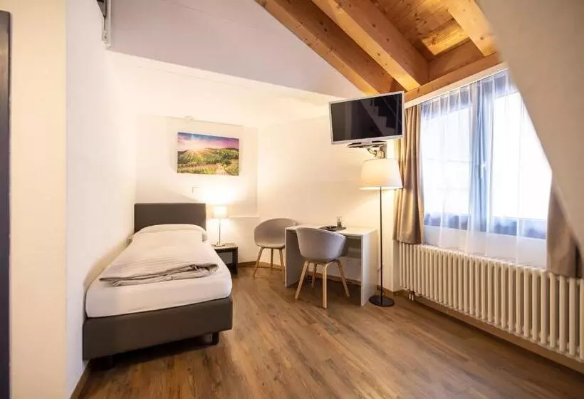 Standard Single Room, Restaurant Alte Brauerei