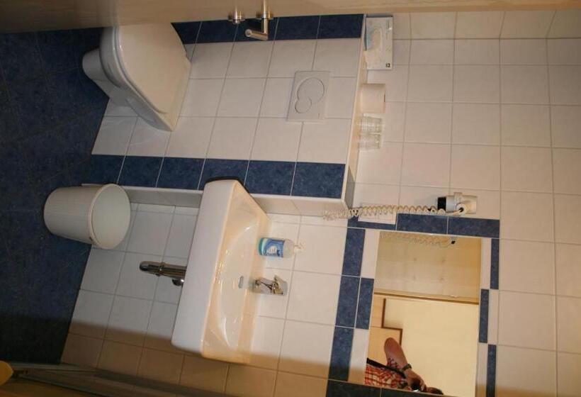 غرفة قياسية فردية, Restaurant Thadeushof