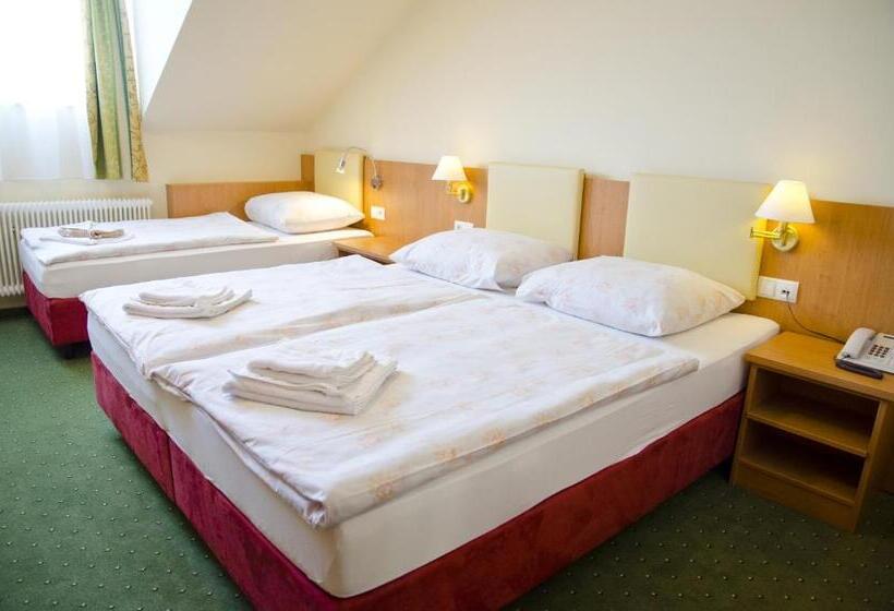 Номер Стандарт Трехместный, Rosner