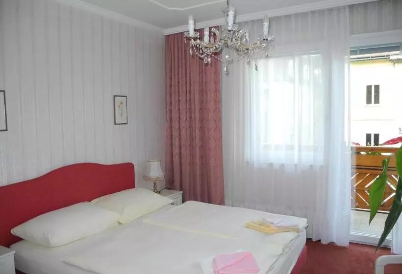 Habitación Estándar con Balcón, Rosner