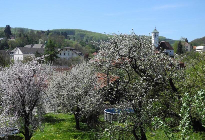 Номер Стандарт Вид на Сад, Rosner