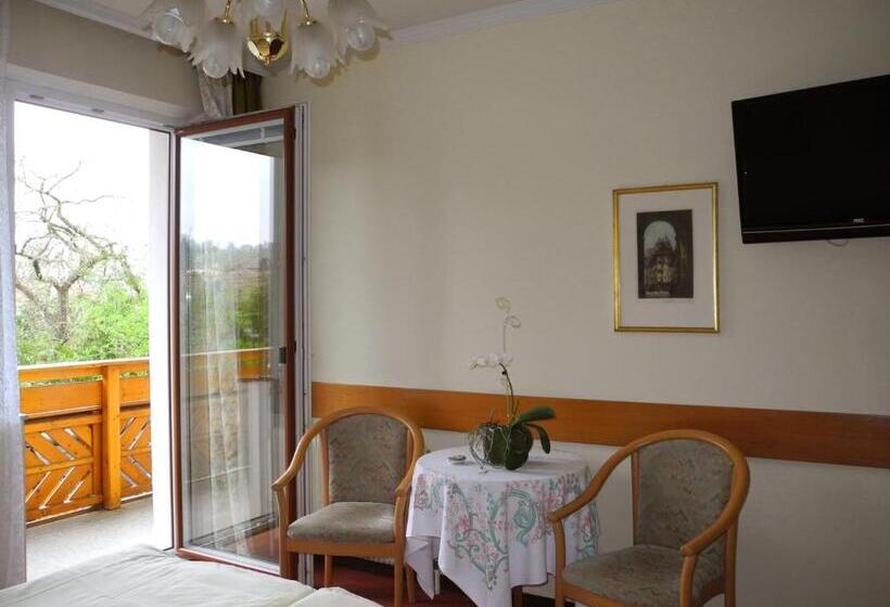 Номер Стандарт Панорамный Вид, Rosner