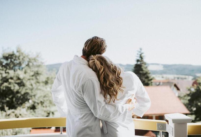 غرفة سوبيريور, Mein Hotel Fast