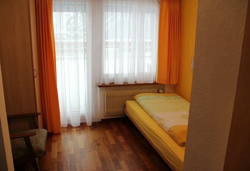 Номер Superior Одноместный, Pension Heino