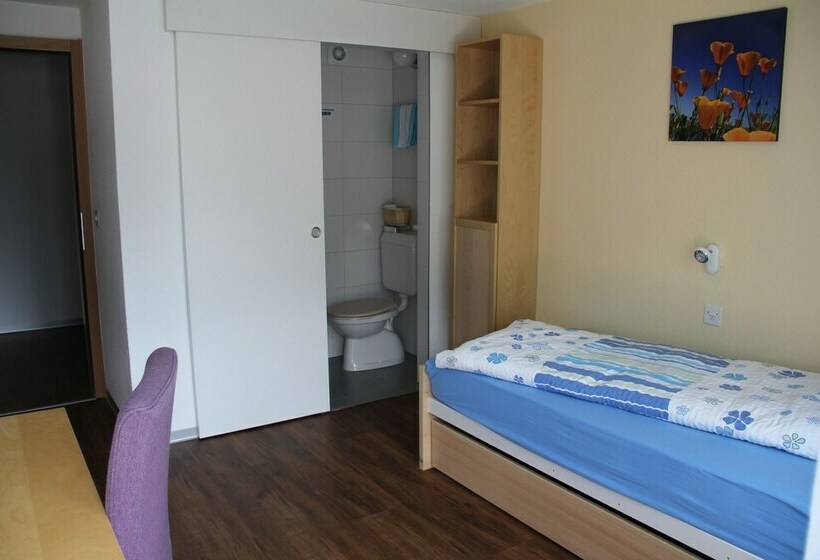 Номер Superior Одноместный, Pension Heino