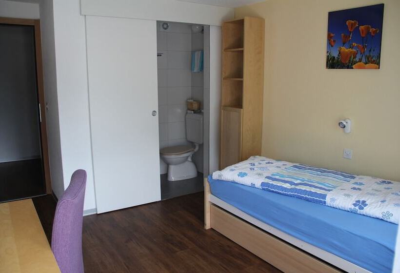 Номер Superior Одноместный, Pension Heino