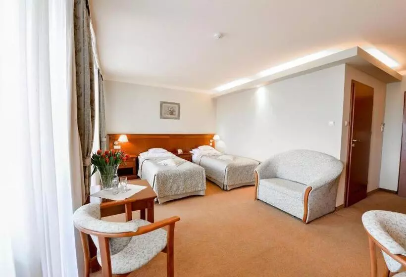 デラックスルーム, Spa Hotel Jawor